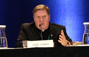 Cardinal Joseph Tobin of Newark answered questions during a press conference at the 2019 USCCB General Assembly on June 13, 2019. Kate Veik/CNA